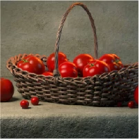 Tomota Basket_Dilsukhnagar  -CREATIVE-  Animation