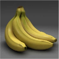Banana Digital Art Work_Student works of  -CREATIVE- 
